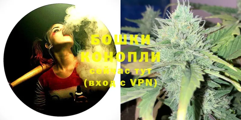 Каннабис SATIVA & INDICA  Гатчина 